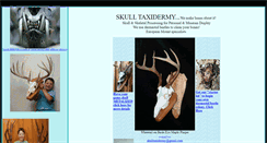 Desktop Screenshot of beetlecleaning.com